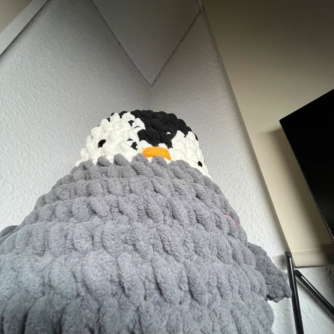 Pingu🐧 - Imagen 2