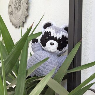 Mapache basurero 🗑️